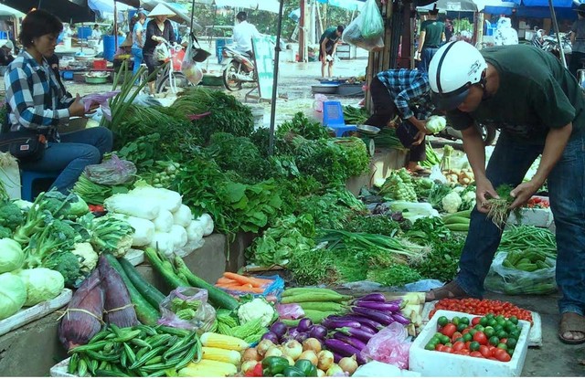 
Trong tháng 8 rau xanh tại Đài Lạt và Hà Nội tăng giá mạnh do mưa lớn kéo dài
