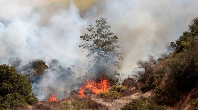 Đám cháy bắt đầu từ La Tuna Canyon. Ảnh: Reuters