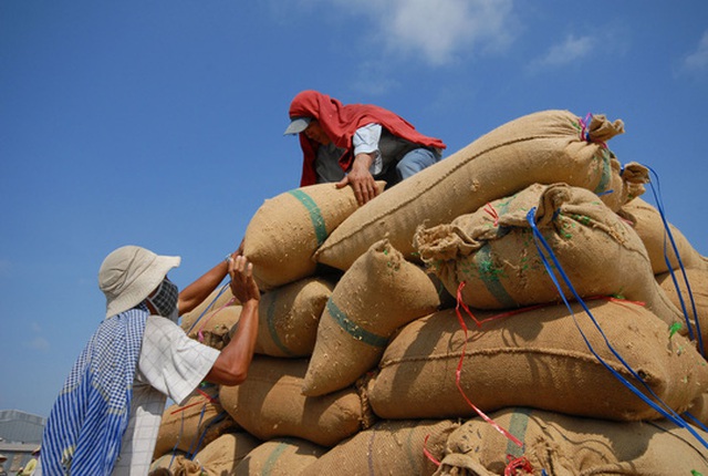 Dù đã cải thiện nhưng doanh nghiệp vẫn than phiền về điều kiện kinh doanh xuất khẩu gạoẢnh: NGỌC TRINH