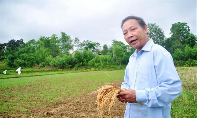 
Tiến sỹ, nhà nông học Lê Tiến Dũng.
