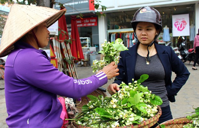 
 Hoa bưởi được hái từ sáng sớm tại Hòa Bình, Hưng Yên rồi chuyển về Hà Nội.
