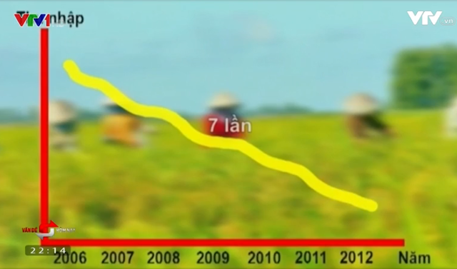 
Thu nhập nông dân trồng lúa giảm 7 lần so với 10 năm trước.
