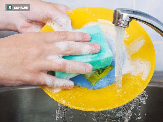 
Miếng rửa bát sau một tuần sử dụng có 2,2 tỷ vi khuẩn.
