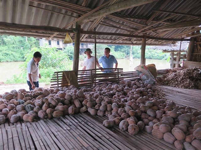  Ảnh: Đồng Văn Thưởng