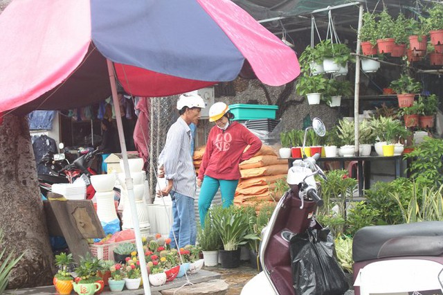 Các mặt hàng buôn bán pử khu vực giải tỏa chủ yếu là cây cảnh, gốm sứ...