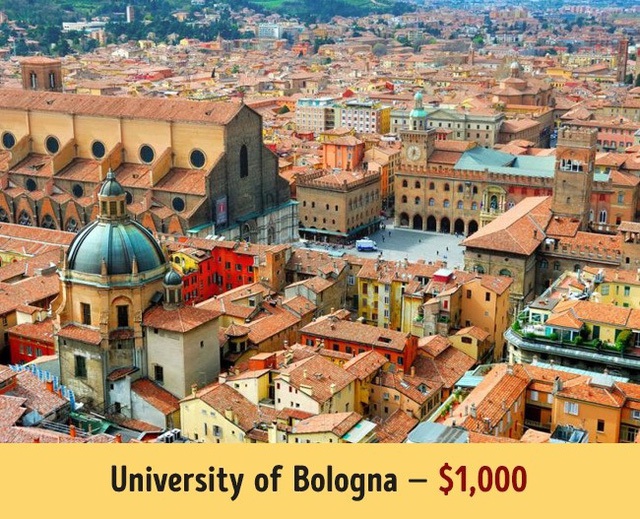 Đại học Bologna có mức học phí trung bình 1.000$ mỗi năm.