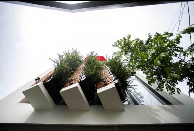 Những chậu cây xanh lạ mắt được trồng thẳng đứng trước mặt tiền tầng 2 ngôi nhà giúp thanh lọc không khí cho toàn bộ không gian sống và sinh hoạt tầng 2. 