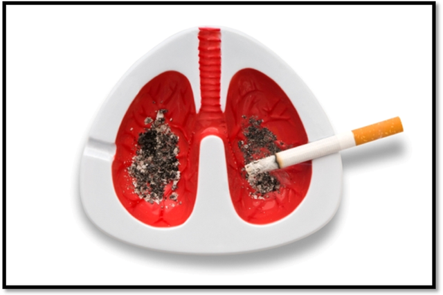 Thuốc lá trong khi đốt cháy thành khói phát tán ra rất nhiều hóa chất có khả năng gây ung thư. (Ảnh minh họa).