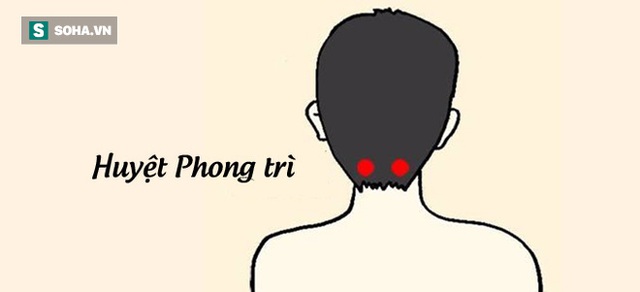Vị trí huyệt Phong Trì. (Tranh: Nguồn Internet).