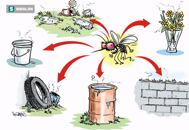 
Diệt muỗi bằng phun thuốc là quan trọng, nhưng hay hơn nữa là tìm và loại bỏ những nơi có thể dành cho muỗi đẻ trứng.
