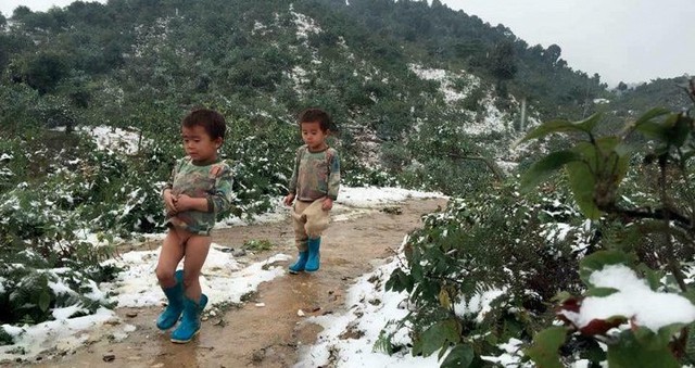 Chuyên gia Việt nhận định, tuyết và sương giá chỉ xuất hiện ở các tỉnh vùng cao. (Ảnh minh họa)