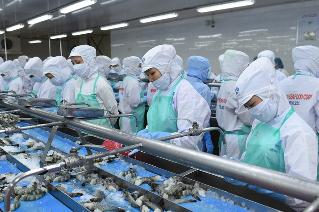 Thủ tướng thăm cơ sở sản xuất tôm có “giấc mơ” 2 tỷ USD (4)
