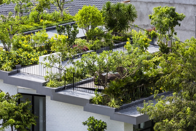 
Mái của ngôi nhà được trồng rất nhiều cây xanh cho bóng mát và không khí trong lành hệt như một công viên thu nhỏ giữa lòng thành phố biển.

 
