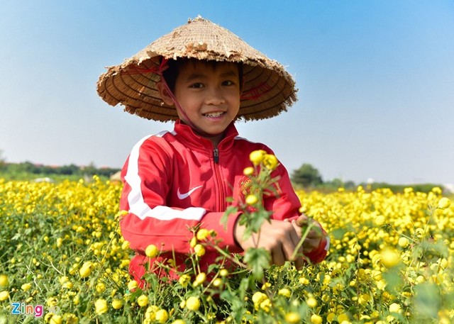   Bé Kiên (12 tuổi) tranh thủ buổi chiều được nghỉ học để đi hái hoa phụ giúp gia đình. Tuy còn nhỏ nhưng em hái khá nhanh, một ngày có thể được 12 kg.  