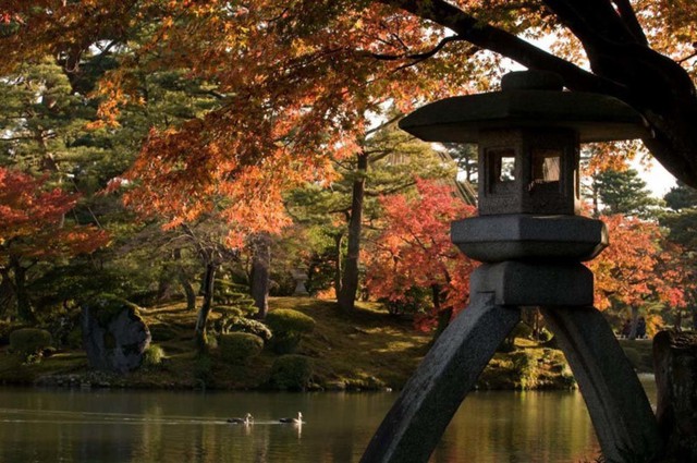 
9. Vườn Kenrokuen, Kanazawa. Kanazawa có rất nhiều nơi tuyệt vời để ngắm những chiếc lá mùa thu nhưng nơi tuyệt vời nhất là Vườn Kenrokuen, được công nhận là một trong ba khu vườn cảnh quan hàng đầu của Nhật Bản.
