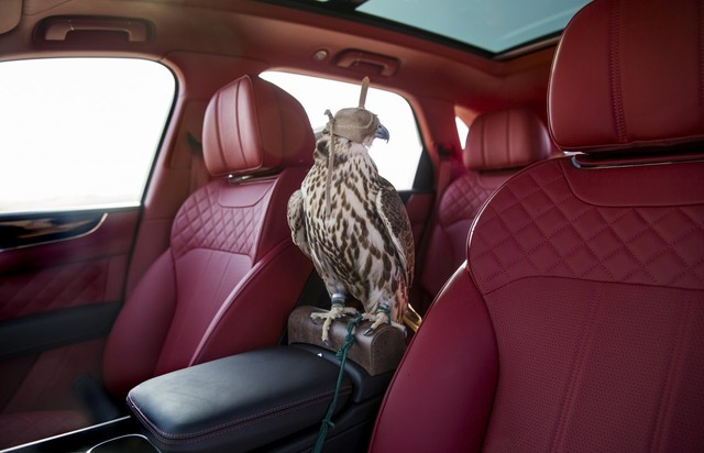 
Nội thất của xe được bọc da đỏ thẫm quý tộc. Giá đậu được thiết kế để chim ưng có thể ở bên cạnh chủ nhân khi di chuyển.
