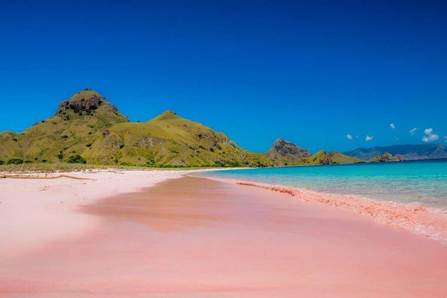 Ngắm nhìn vẻ đẹp thơ mộng của những bãi biển cát hồng đẹp nhất thế giới - Ảnh 5.