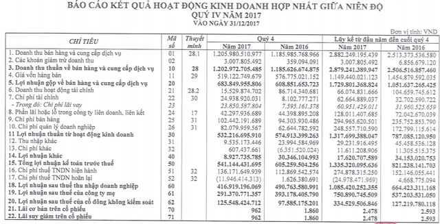 Đất Xanh đạt 751 tỷ đồng lợi nhuận sau thuế, vượt 7% kế hoạch lợi nhuận năm 2017 - Ảnh 1.