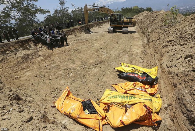 Thảm cảnh máy xúc đào mồ chôn tập thể cho các nạn nhân động đất, sóng thần Indonesia - Ảnh 1.