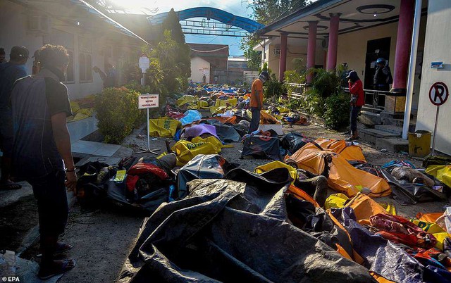 Thảm cảnh máy xúc đào mồ chôn tập thể cho các nạn nhân động đất, sóng thần Indonesia - Ảnh 5.