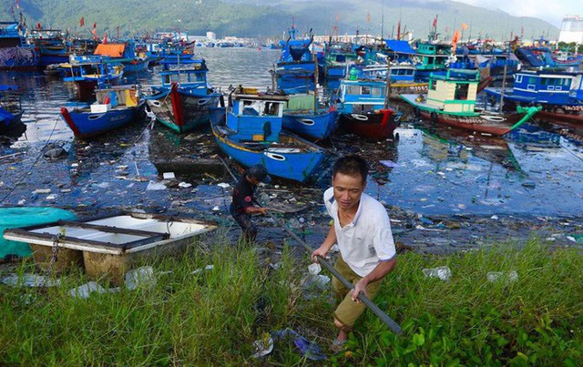 Cảng cá lớn nhất miền Trung nước đen ngòm, bốc mùi hôi thối - Ảnh 3.