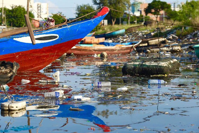 Cảng cá lớn nhất miền Trung nước đen ngòm, bốc mùi hôi thối - Ảnh 5.