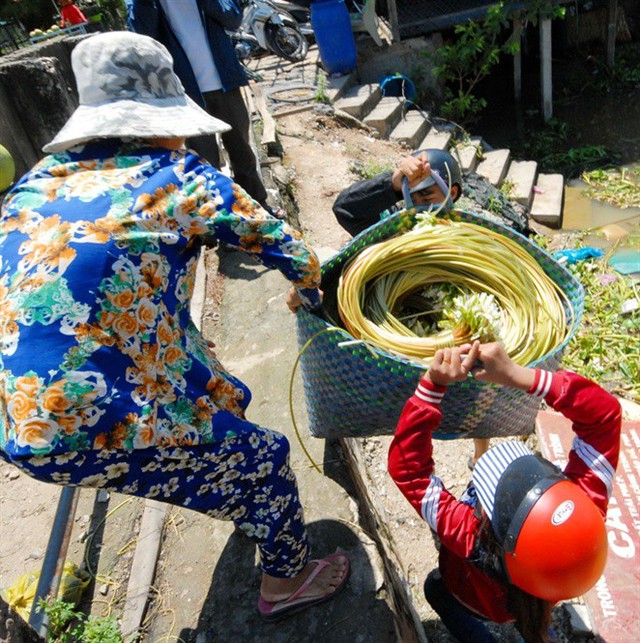 Cận cảnh mùa lũ người dân miền Tây sang Campuchia hái bông súng ma về bán - Ảnh 14.