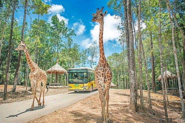 Hé lộ về dự án khu công viên vui chơi safari 1,5 tỷ USD của ông lớn BĐS Vingroup đối diện đại đô thị VinCity Ocean Park - Ảnh 1.