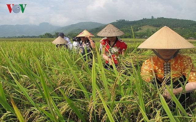 15 sản phẩm nông nghiệp được đề xuất là sản phẩm chủ lực quốc gia - Ảnh 2.