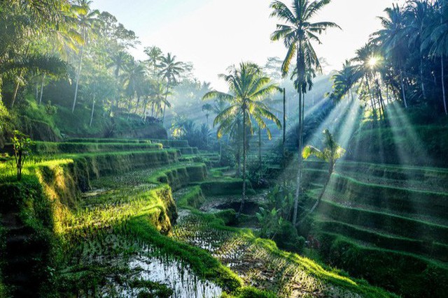 6 điểm du lịch đáng đồng tiền bát gạo nên đến vào 2019, một điểm ở ngay Đông Nam Á - Ảnh 6.