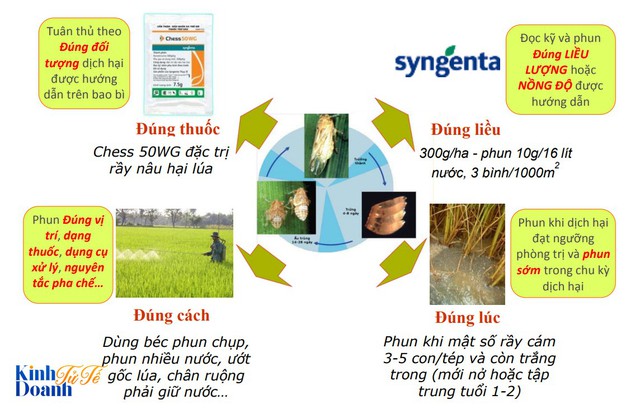 Phía sau những lọ thuốc trừ sâu bị vứt bỏ ngoài ruộng  - Ảnh 2.