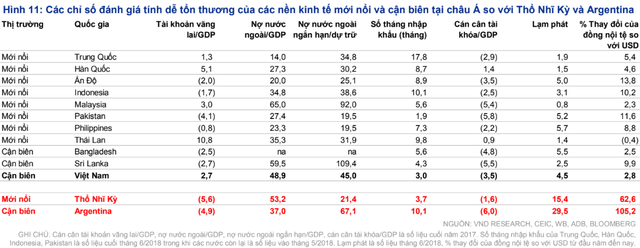 VNDIRECT: “Khủng hoảng tài chính tại các thị trường mới nổi khó tác động mạnh đến Việt Nam” - Ảnh 1.