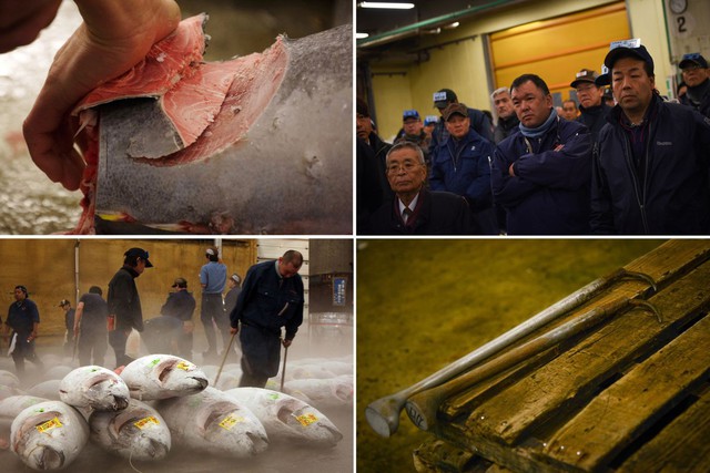 Kỷ nguyên mới cho chợ cá lâu đời nhất Nhật Bản, nơi xử lý 1.600 tấn hải sản mỗi ngày - Ảnh 6.