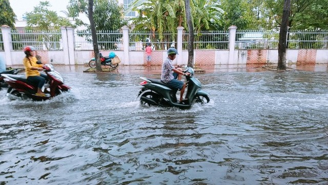 Cà Mau: Đường biến thành “sông” sau cơn mưa như trút nước - Ảnh 2.