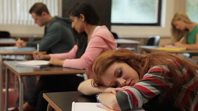 Tiến sĩ Oxford: Học sinh ngủ trong lớp đâu phải vì lười, giáo dục nên coi giấc ngủ như một phần trọng tâm - Ảnh 3.