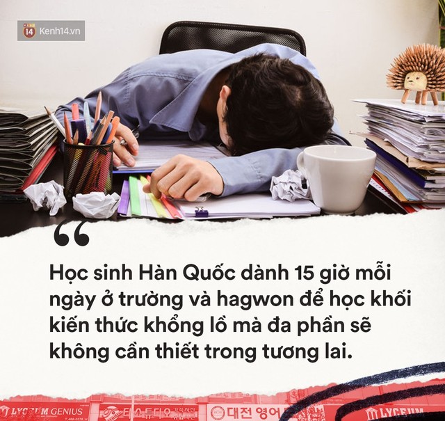 Hàn Quốc và nỗi ác mộng mang tên Đại học: Khi tấm vé vào tương lai cũng là con dao dồn học sinh vào đường cùng - Ảnh 6.