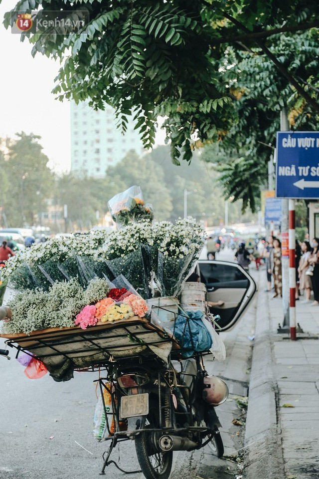 Cúc hoạ mi vào vụ mùa, nông dân Hà Nội hớn hở chào mừng khách đến mua hoa và chụp ảnh - Ảnh 22.