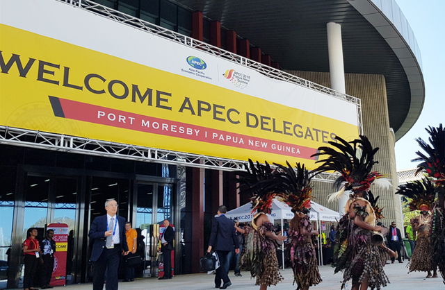 Những điều thú vị của nền kinh tế nước chủ nhà APEC năm 2018 - Ảnh 3.