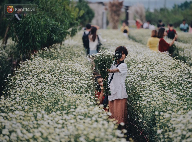 Vườn cúc hoạ mi ở Hà Nội thất thủ cuối tuần: 1 mét vuông có chục nhiếp ảnh gia và mẫu - Ảnh 24.