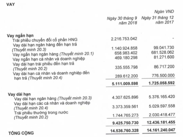 Chuyển động nợ tại HAG-HNG: Tăng ngắn giảm dài, đang mượn tạm Chủ tịch Thaco và bầu Đức 1.000 tỷ đồng - Ảnh 2.