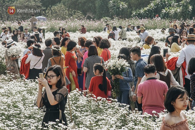 Vườn cúc họa mi ở Hà Nội tiếp tục thất thủ: Đường vào tắc nghẽn, chụp một bức ảnh phải né bao nhiêu người - Ảnh 8.