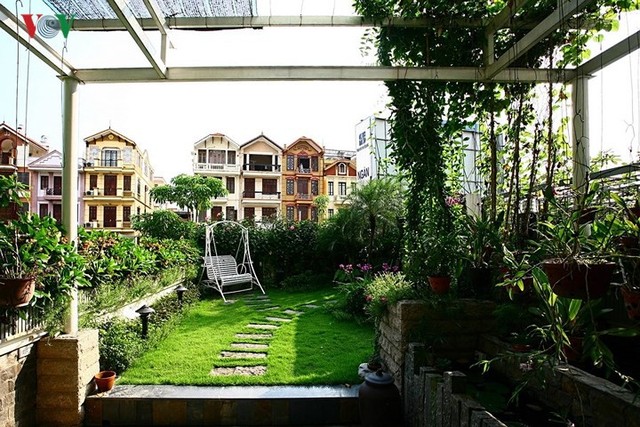 Nhà cải tạo đa chức năng với vườn xanh trên mái - Ảnh 6.