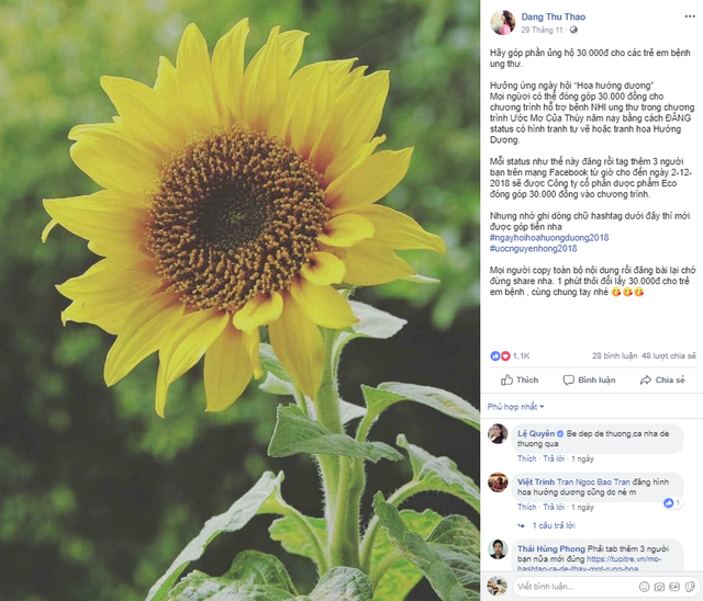 Thực hư việc đăng ảnh hoa hướng dương lên Facebook giúp bệnh nhi ung thư được tặng 30.000 đồng - Ảnh 1.