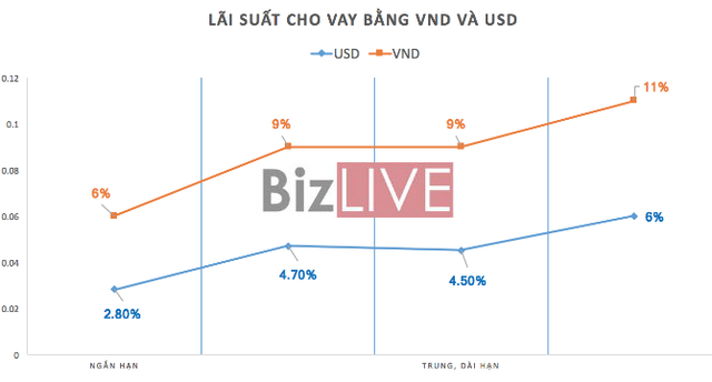 Tiến tới dừng cho vay ngoại tệ: Việc nên làm từ lâu? - Ảnh 1.