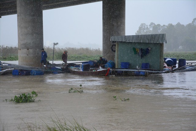 Người dân Quảng Nam chua xót nhìn 60 tấn cá bị lũ cuốn trôi - Ảnh 3.