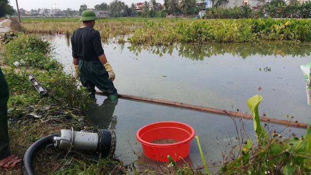  Vụ hàng nghìn lít dầu tràn ở Thanh Hóa: Dân làng đổ xô mang can ra hớt dầu - Ảnh 2.