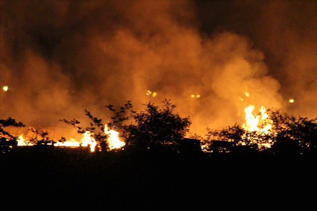 Cháy lớn tại nhà xưởng sản xuất pallet gỗ tại Bình Dương - Ảnh 1.
