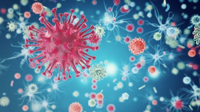 Chúng ta sắp chạm đến phương pháp chữa khỏi HIV hoàn toàn - nghiên cứu đột phá của Viện Pasteur, Paris đã chứng minh điều đó - Ảnh 3.