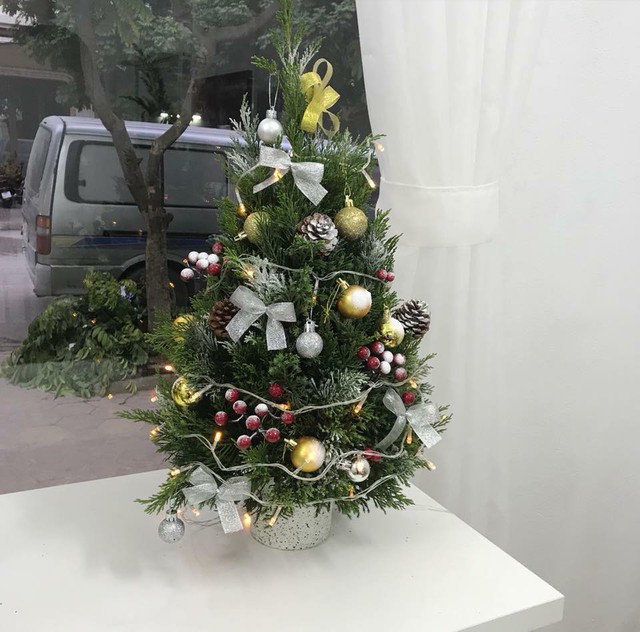 Những dịch vụ hốt bạc triệu trong dịp Noel - Ảnh 4.