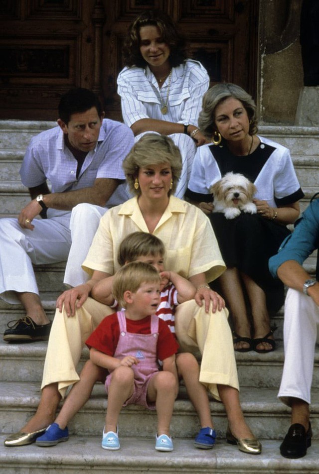  Những bức ảnh để đời của Công nương Diana bên 2 con chứng tỏ bà vẫn là bà mẹ quốc dân được ái mộ nhất - Ảnh 4.